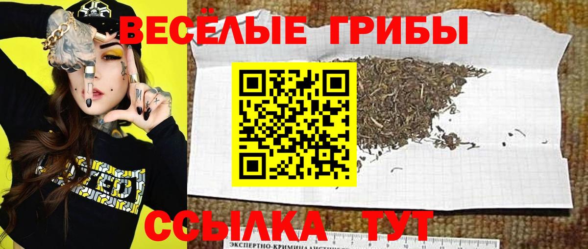 Псилоцибиновые грибы Psilocybine cubensis  Вход с VPN  Набережные Челны 
